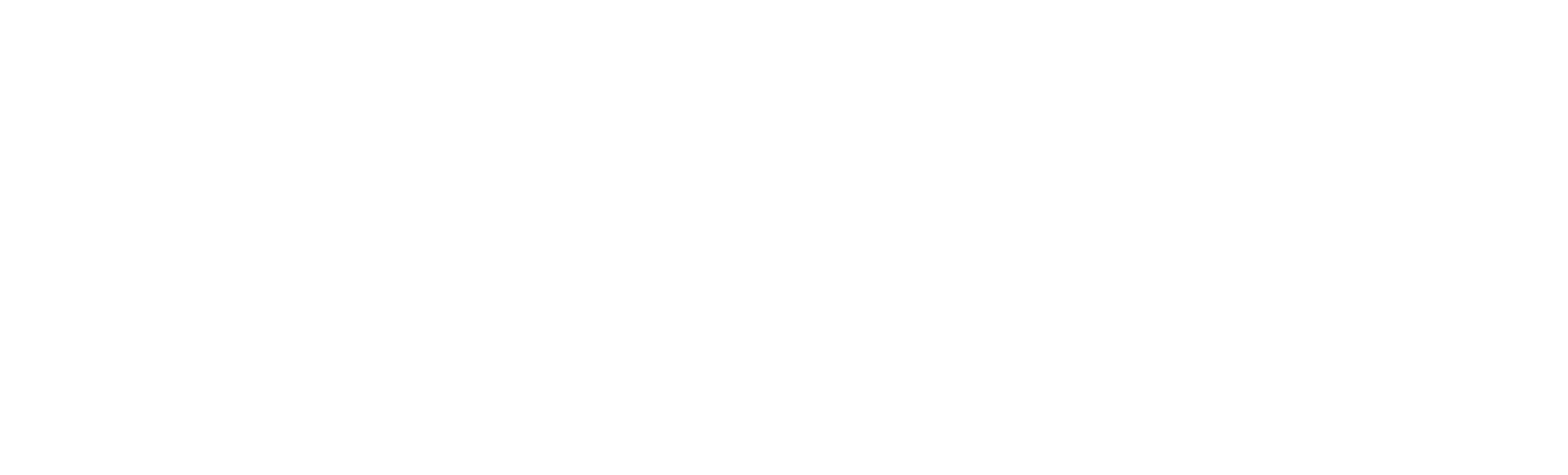 TOTAL PLUS
